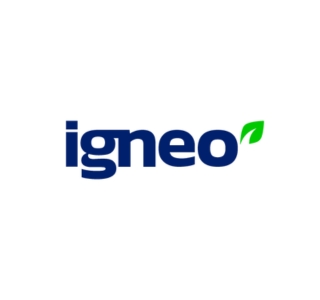 Igneo