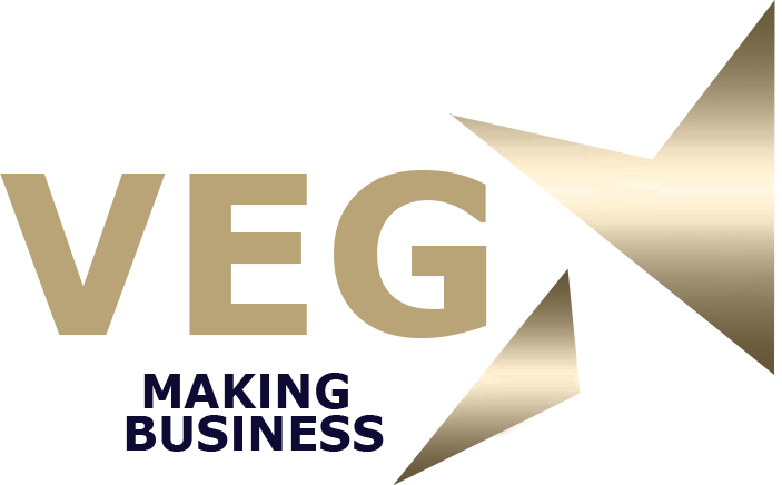 logo_VEGA